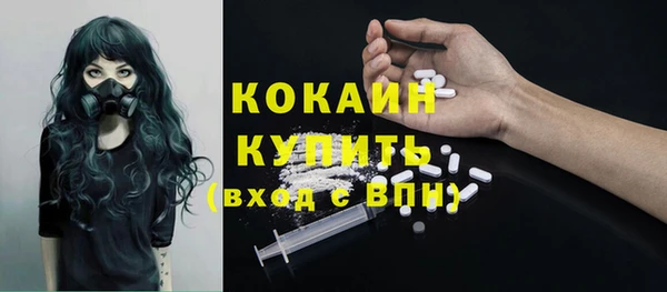 ГАЛЛЮЦИНОГЕННЫЕ ГРИБЫ Кулебаки
